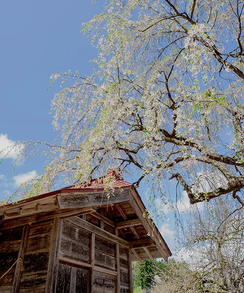 慶徳稲荷神社創建